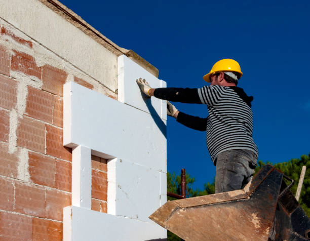 Best Insulation Maintenance and Repair in Daingerfield, TX