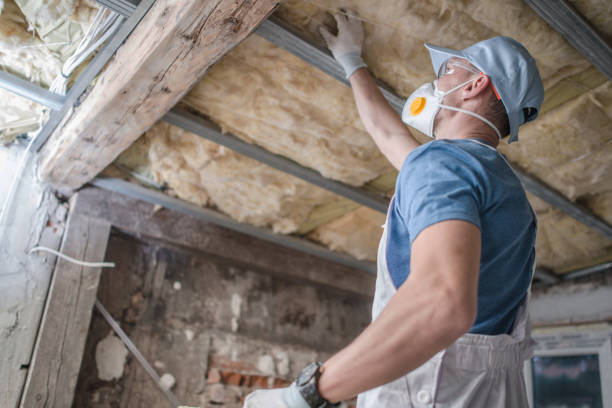Best Specialized Insulation Services in Daingerfield, TX