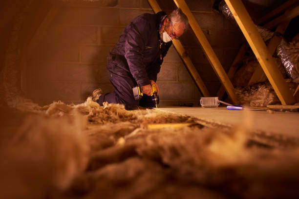 Best Cellulose Insulation in Daingerfield, TX